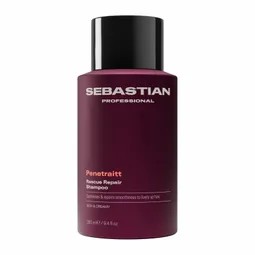 Sebastian Professional Penetrate hair repair treatment bottle, burgundy container with black cap.