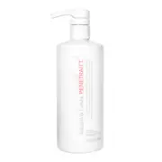 Sebastian Penetraitt Treatment 500ml