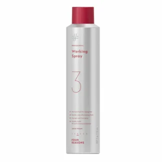Four Reasons Professional Working Spray 300ml