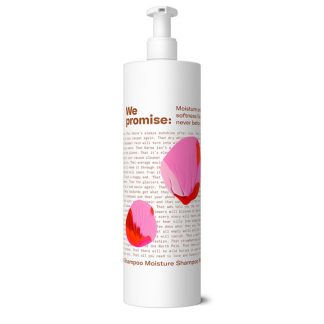 Promise Moisture Shampoo 950ml