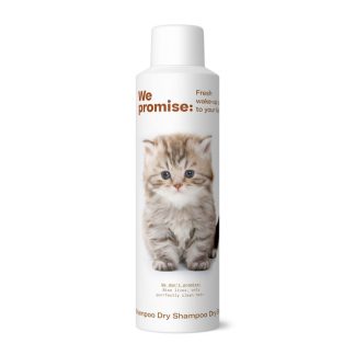 Promise Dry Shampoo 250ml