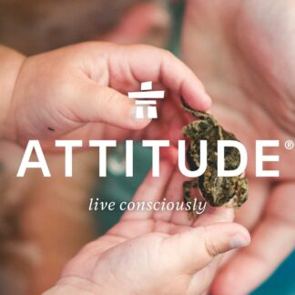 Attitude